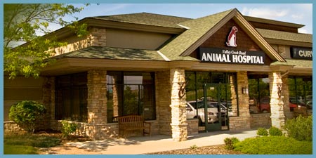 Valley Creek Road Animal Hospital Woodbury Mn Veterinary Clinic